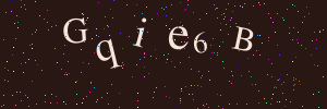 Validation image